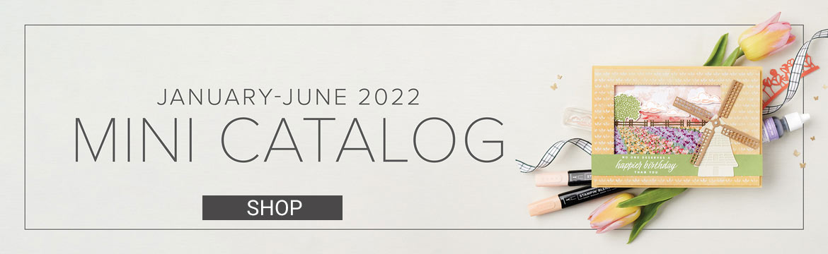 January June 2022 Stampin Up Mini Catalog SHOP with Sara Levin shop.theartfulinker.com